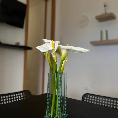 Apartamento Casa Lito *